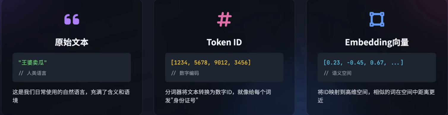 文本 Token Embedding.png